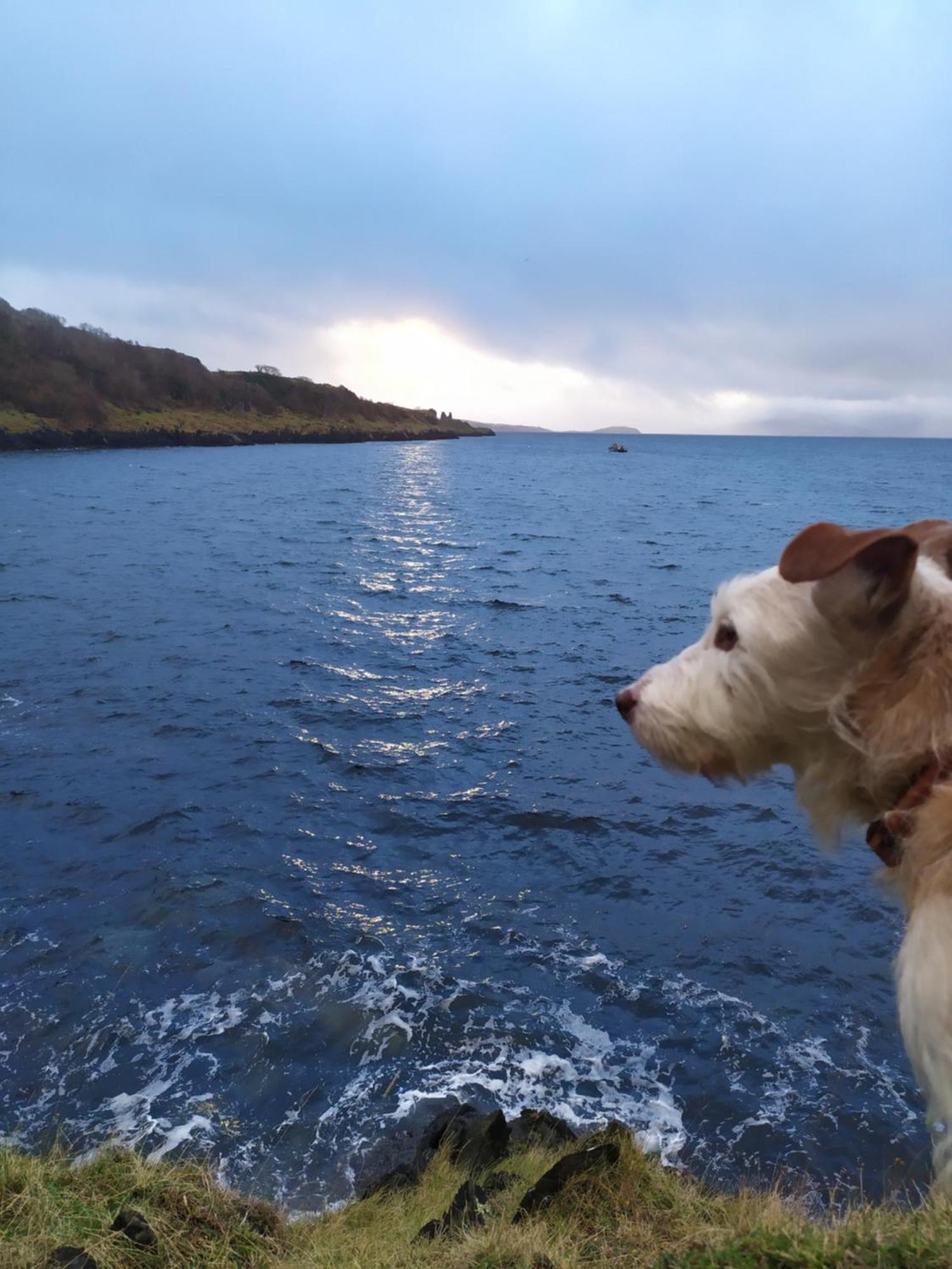 Ballimackillichan Croft Isle of Lismore Zewnętrze zdjęcie